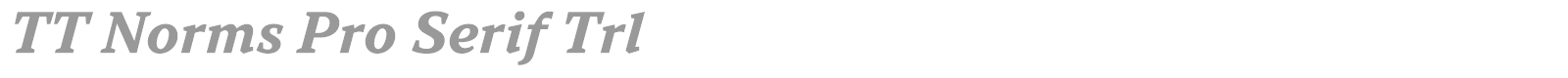TT Norms Pro Serif font preview